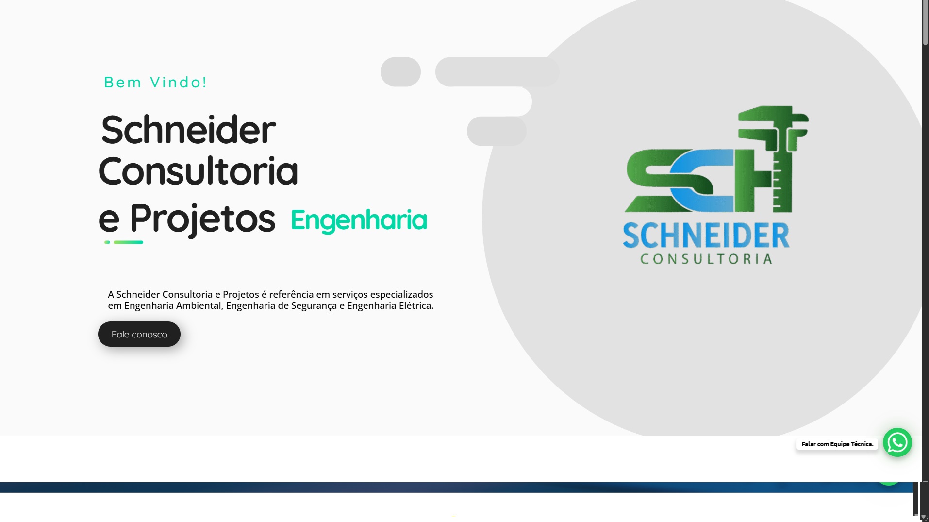 Schneider Consultoria Projetos